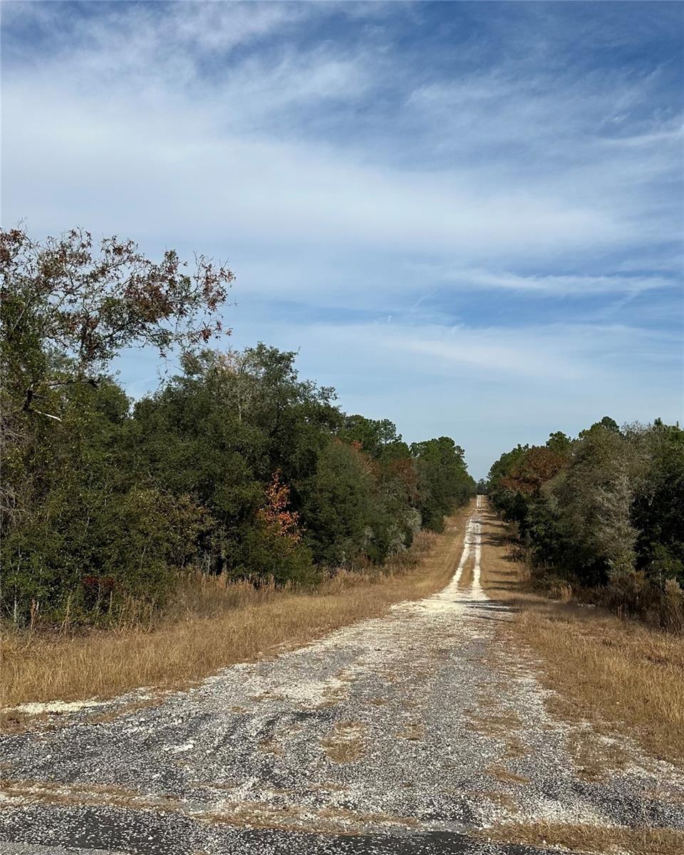 Lot 26 SE 133RD AVE, DUNNELLON, FL — photo 5