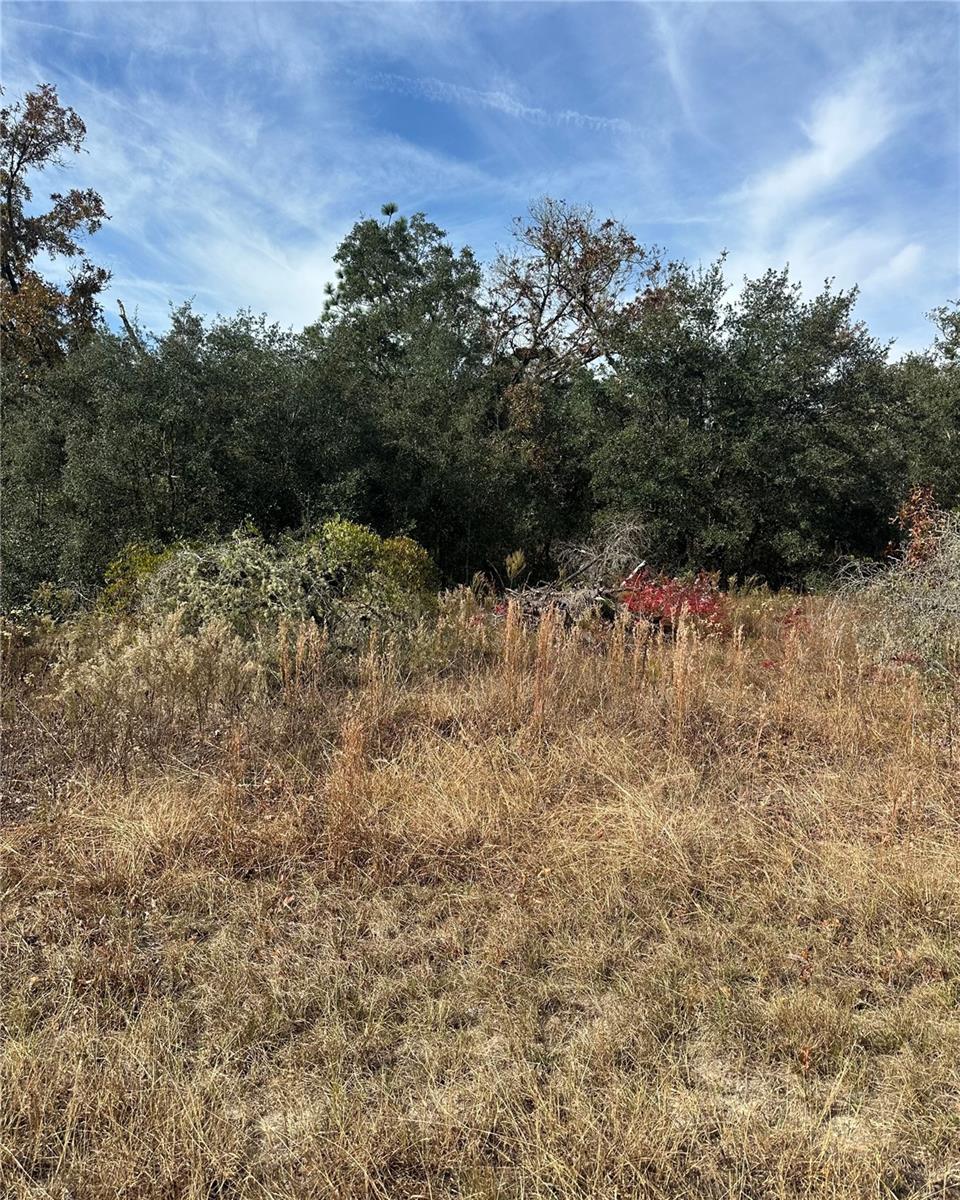 Lot 26 SE 133RD AVE, DUNNELLON, FL — photo 7