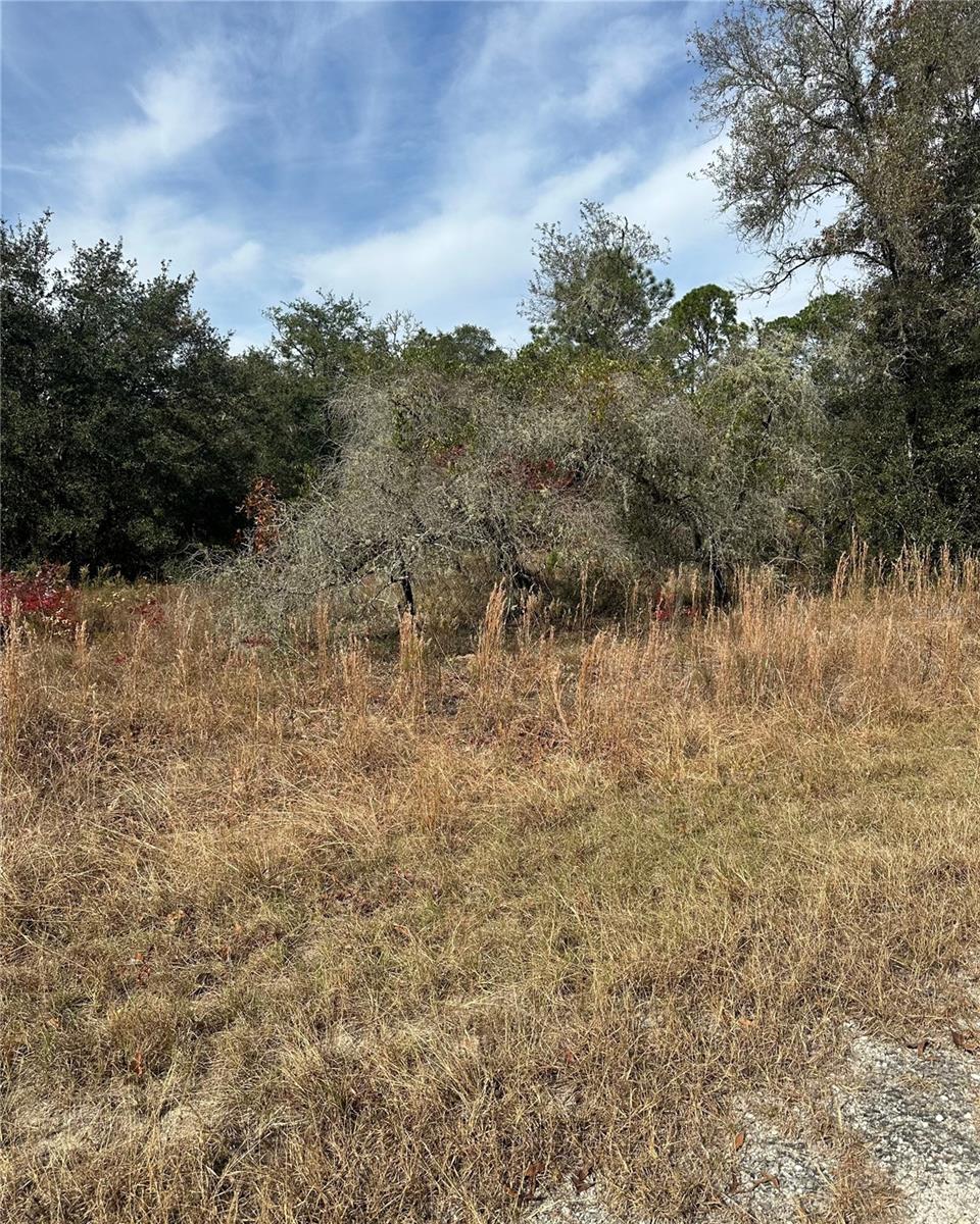 Lot 26 SE 133RD AVE, DUNNELLON, FL — photo 9