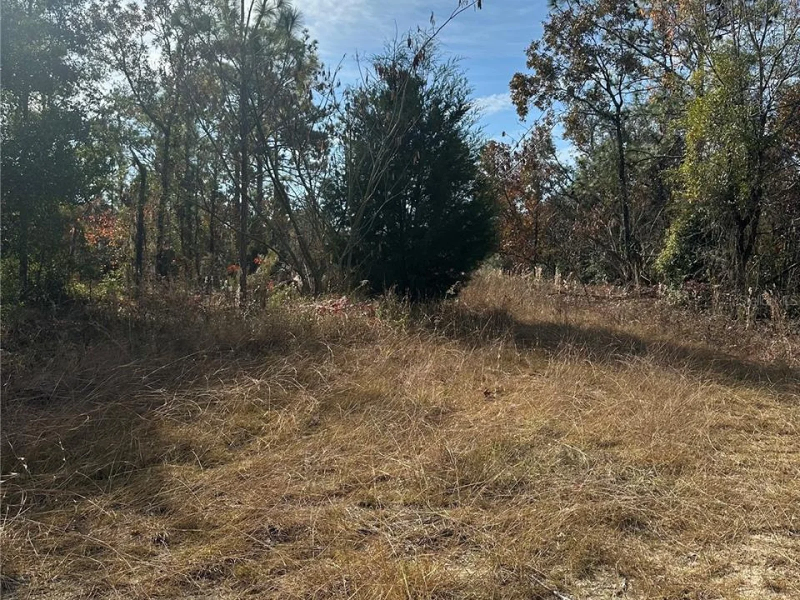 Lot 2 NE 151ST TER, WILLISTON, FL — photo 2