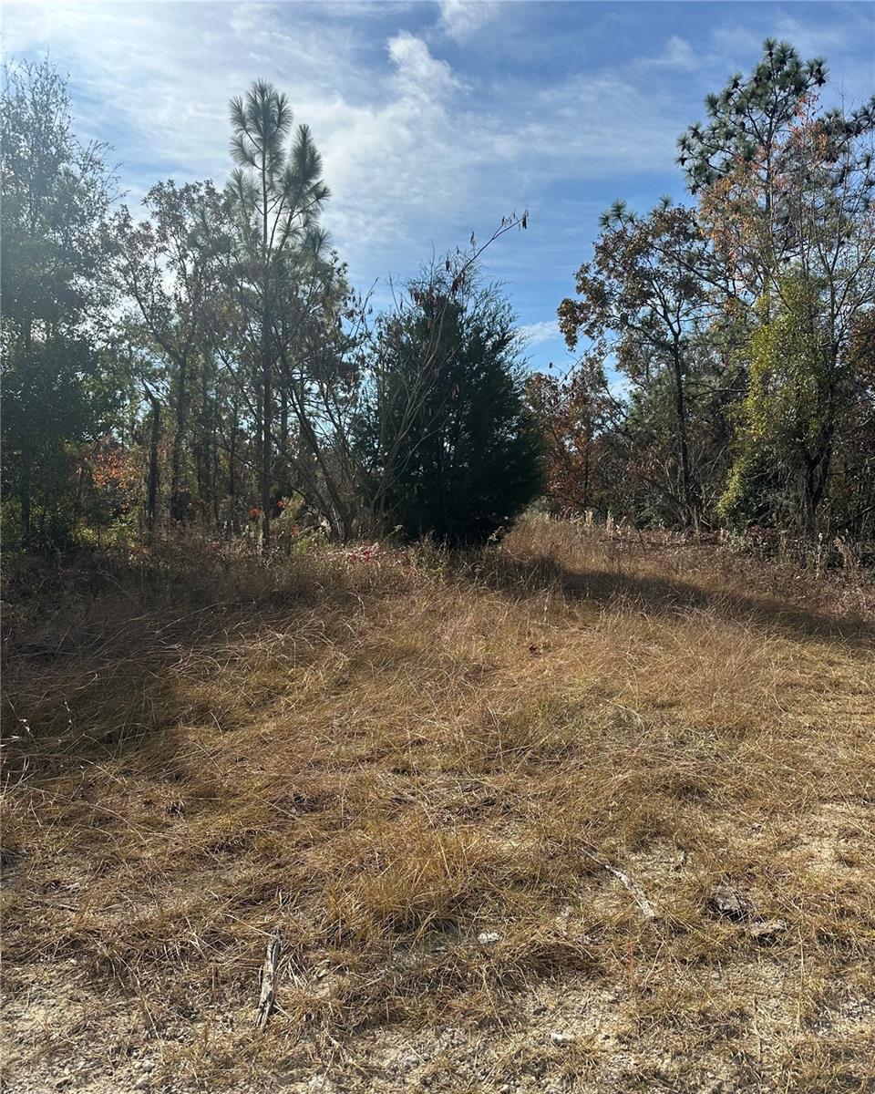Lot 2 NE 151ST TER, WILLISTON, FL