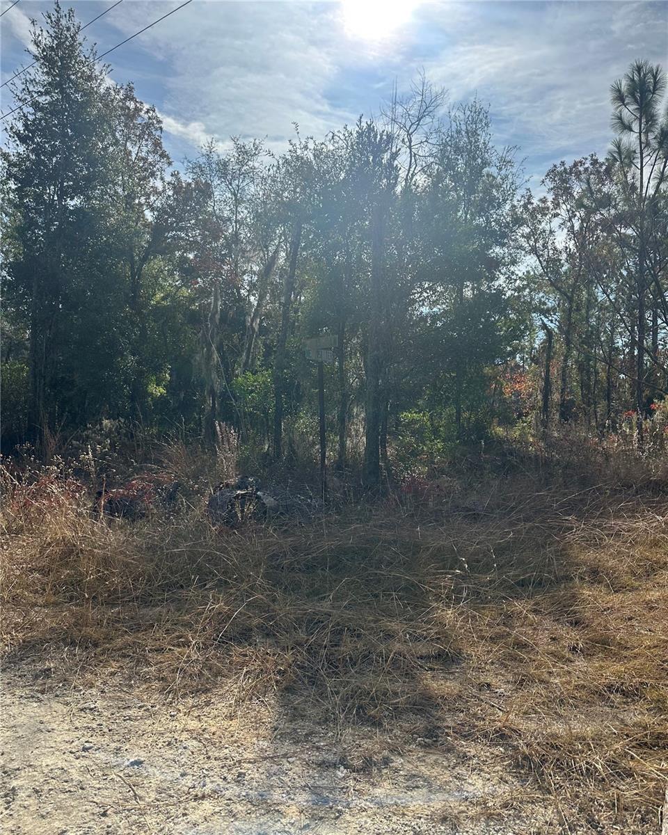 Lot 2 NE 151ST TER, WILLISTON, FL — photo 3