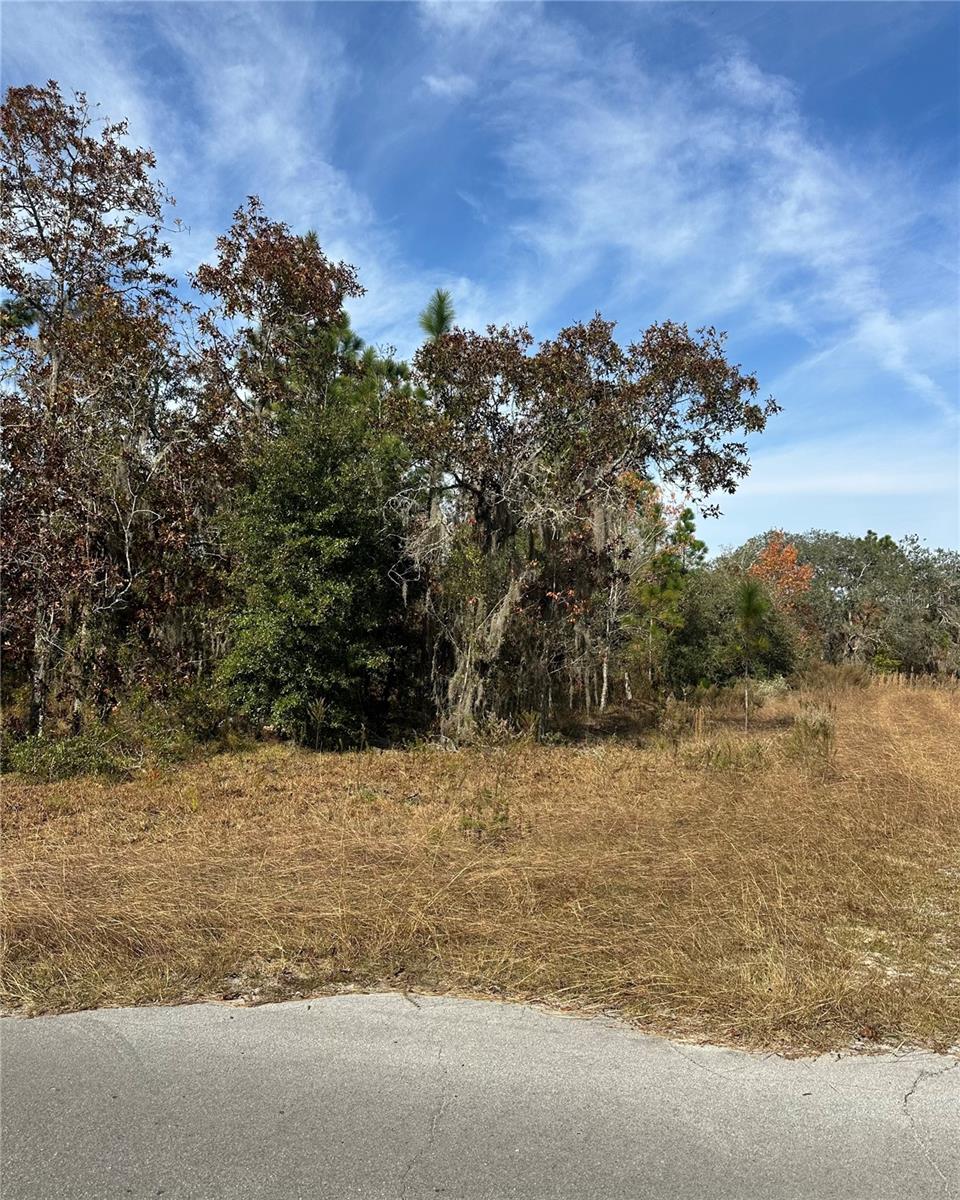 Lot 2 NE 151ST TER, WILLISTON, FL — photo 5