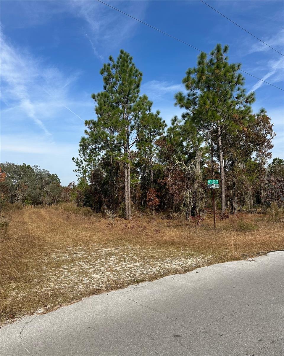 Lot 2 NE 151ST TER, WILLISTON, FL — photo 7