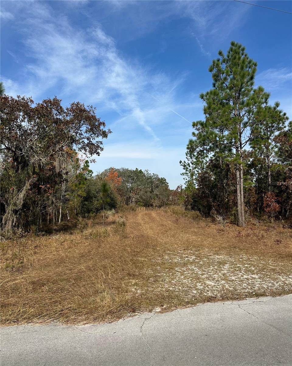 Lot 2 NE 151ST TER, WILLISTON, FL — photo 9