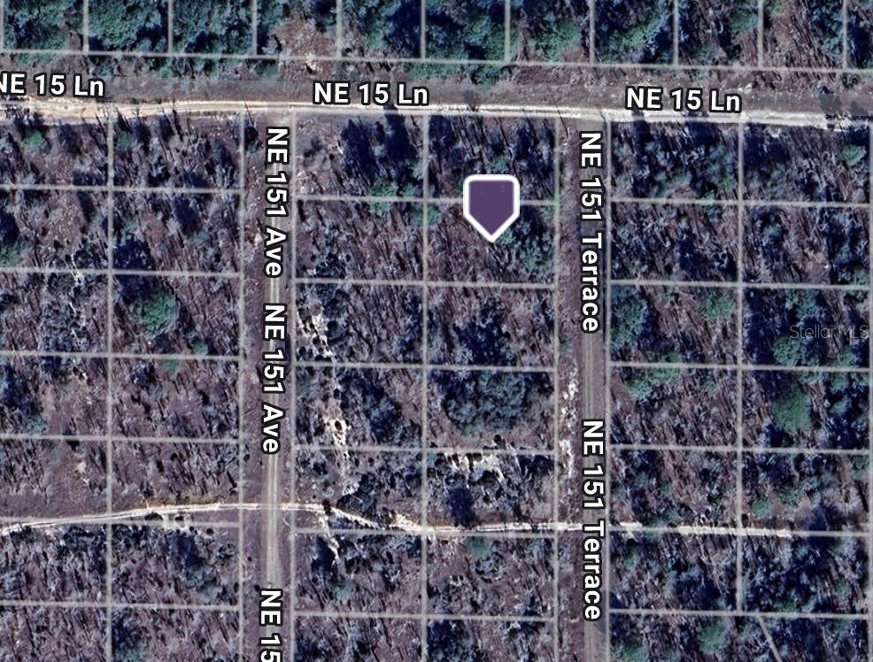 Lot 2 NE 151ST TER, WILLISTON, FL — photo 11