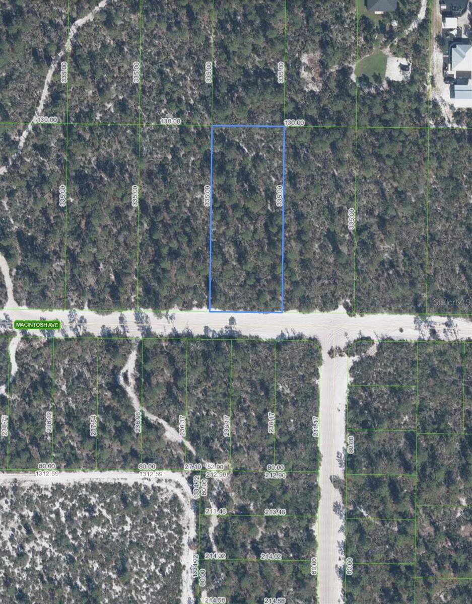 2132 MACINTOSH AVE, SEBRING, FL
