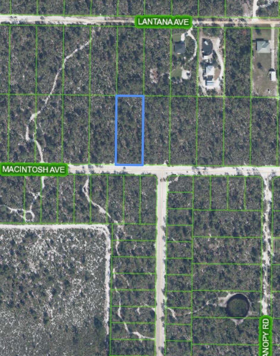 2132 MACINTOSH AVE, SEBRING, FL — photo 2