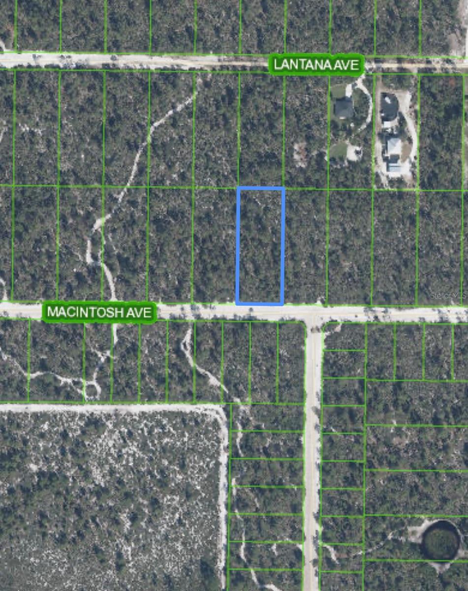 2132 MACINTOSH AVE, SEBRING, FL — photo 3