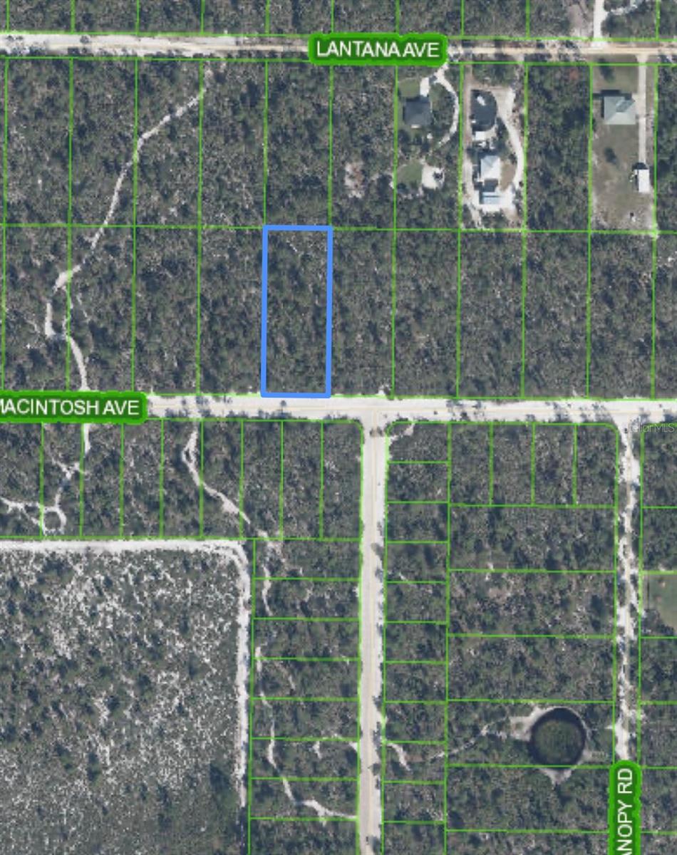 2132 MACINTOSH AVE, SEBRING, FL — photo 4