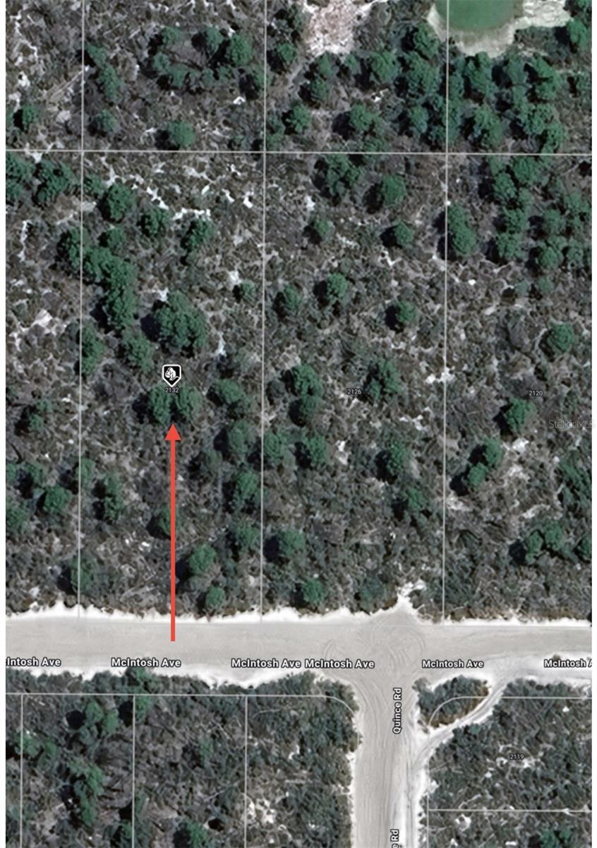 2132 MACINTOSH AVE, SEBRING, FL — photo 8