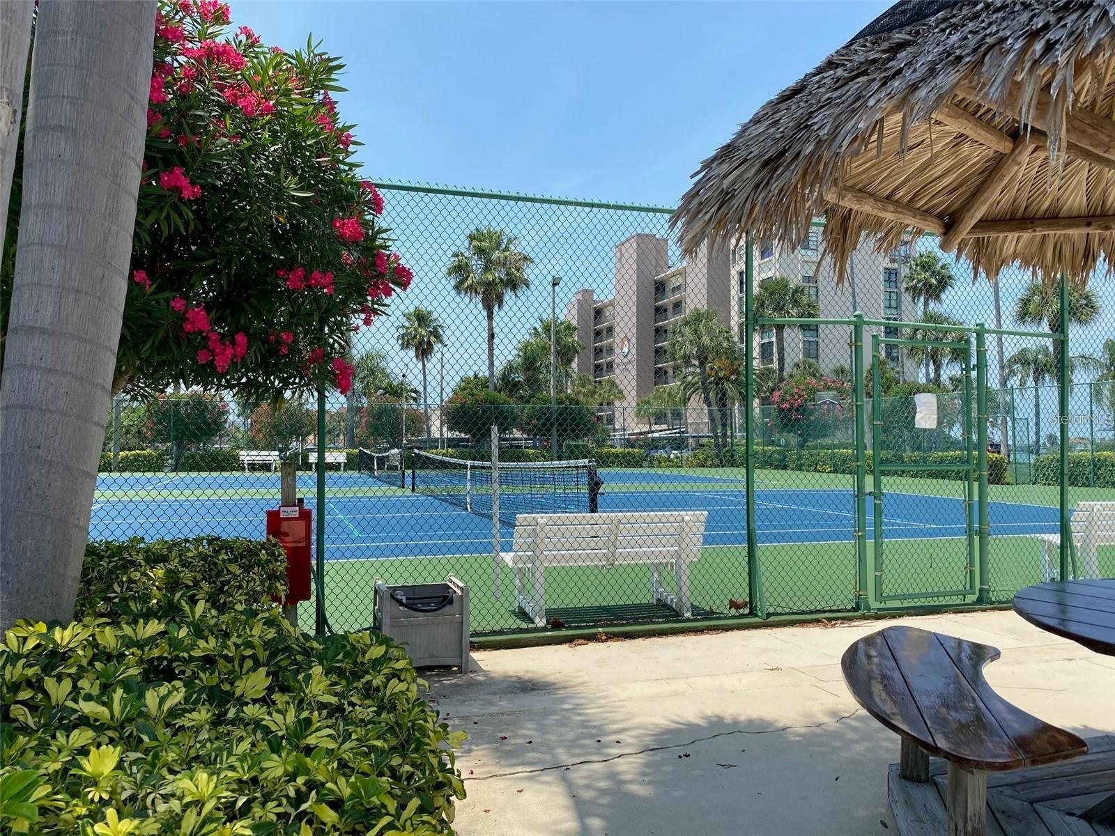 7400 SUN ISLAND DR S #202, SOUTH PASADENA, FL — photo 39
