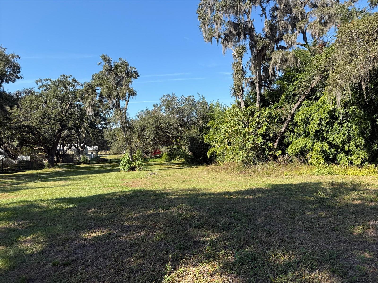 TRACT 6 WOODY LN, DADE CITY, FL — photo 2