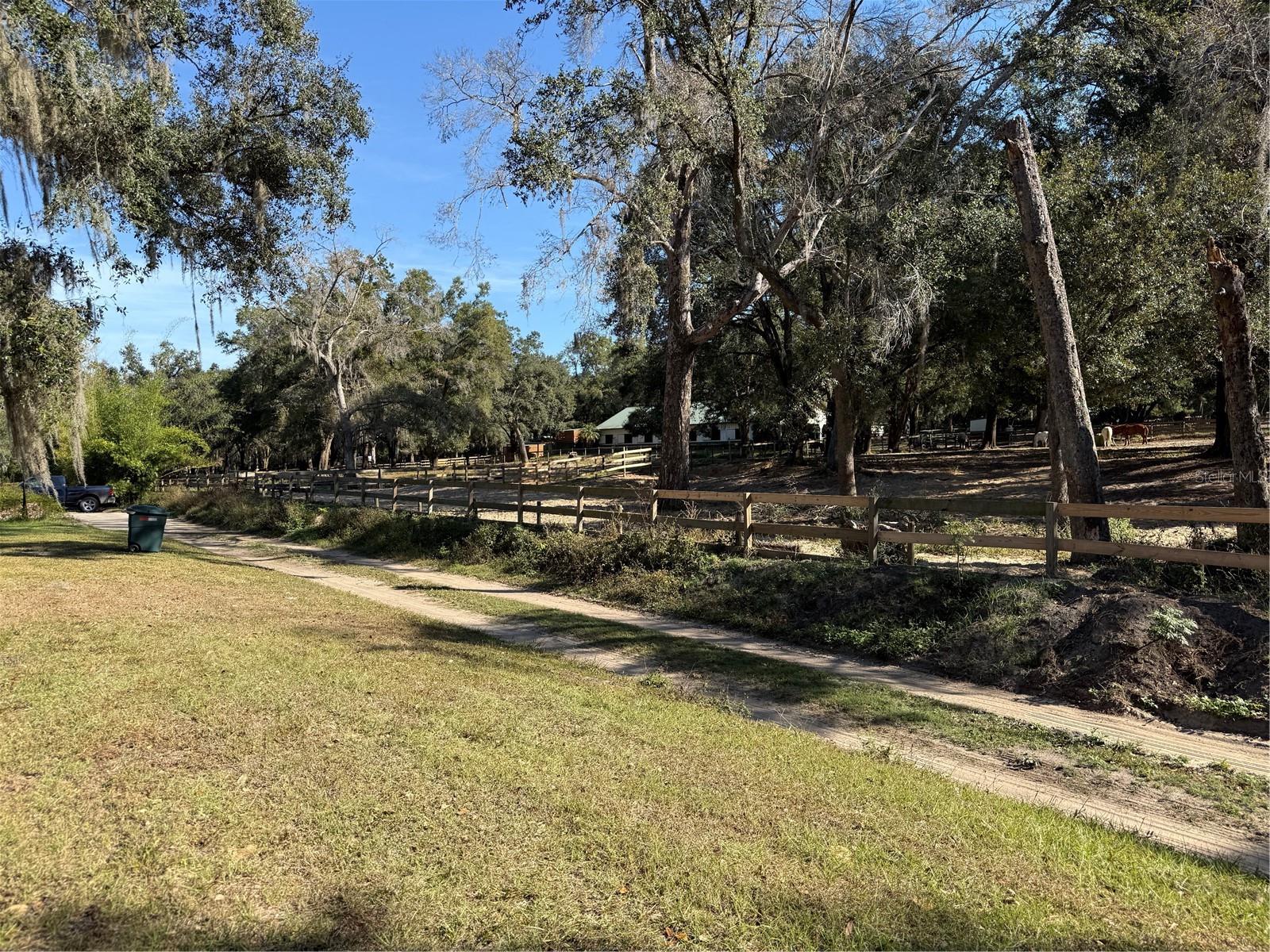 TRACT 6 WOODY LN, DADE CITY, FL — photo 3