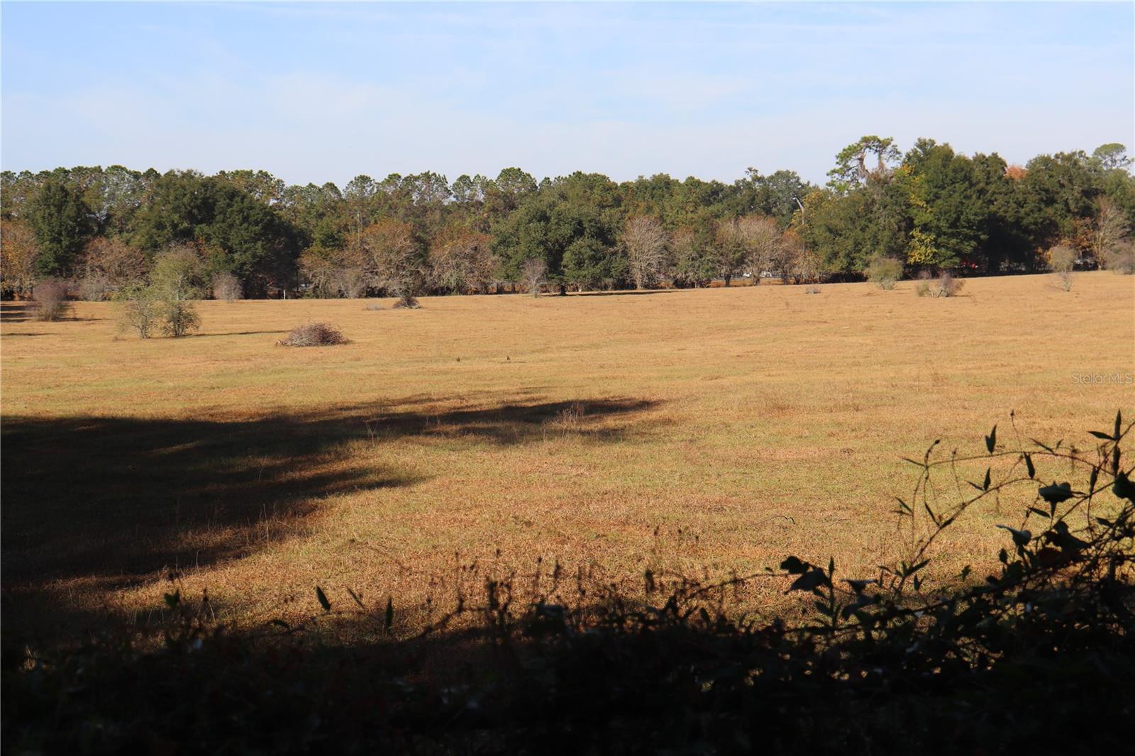 8340 SW 35TH AVE, OCALA, FL — photo 3