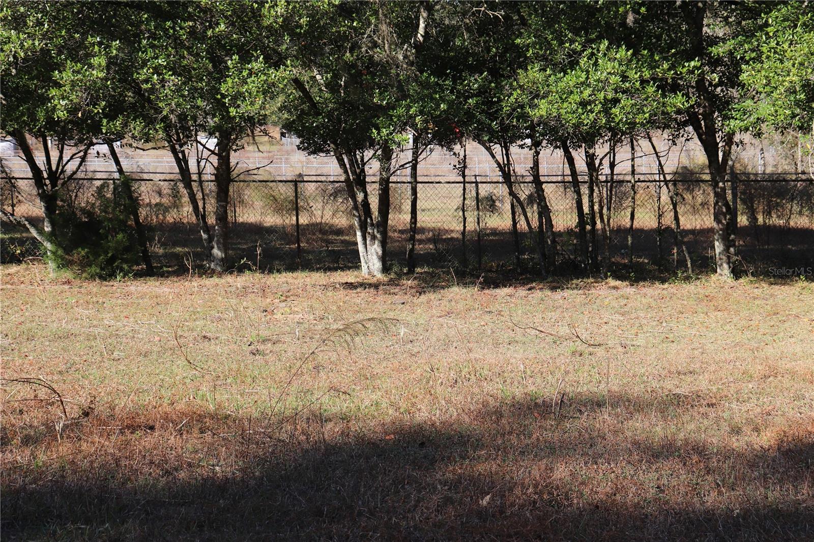 8340 SW 35TH AVE, OCALA, FL — photo 5