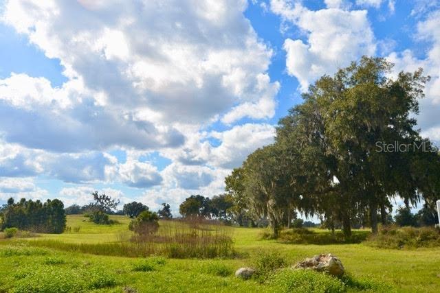 11750 SE 22ND AVE RD, OCALA, FL