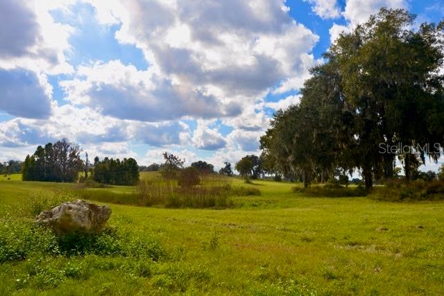 11750 SE 22ND AVE RD, OCALA, FL — photo 2