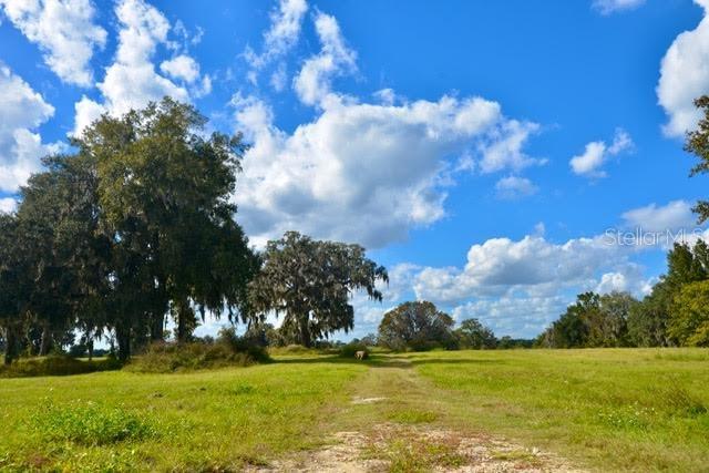 11750 SE 22ND AVE RD, OCALA, FL — photo 3