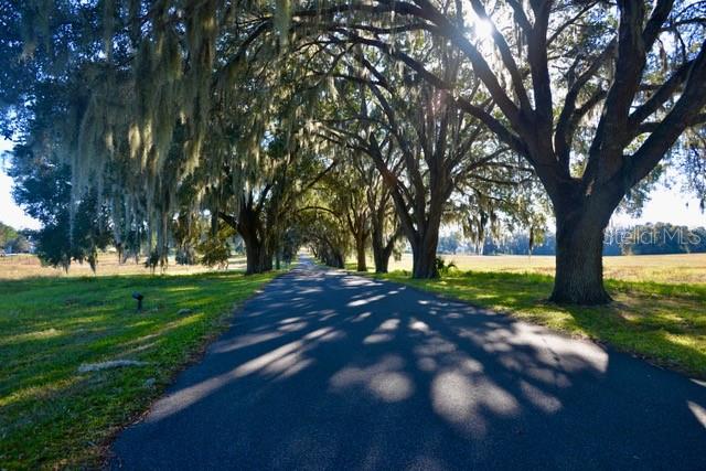 11750 SE 22ND AVE RD, OCALA, FL — photo 5