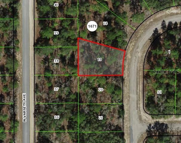 1947 W SKYLINE DR, CITRUS SPRINGS, FL