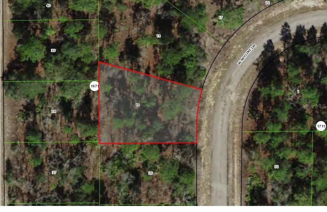 1947 W SKYLINE DR, CITRUS SPRINGS, FL — photo 3