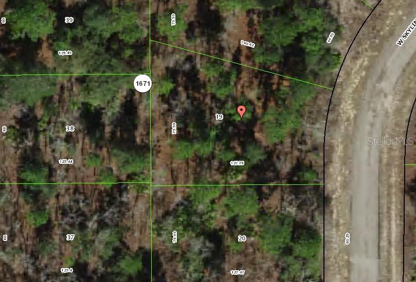 1947 W SKYLINE DR, CITRUS SPRINGS, FL — photo 5