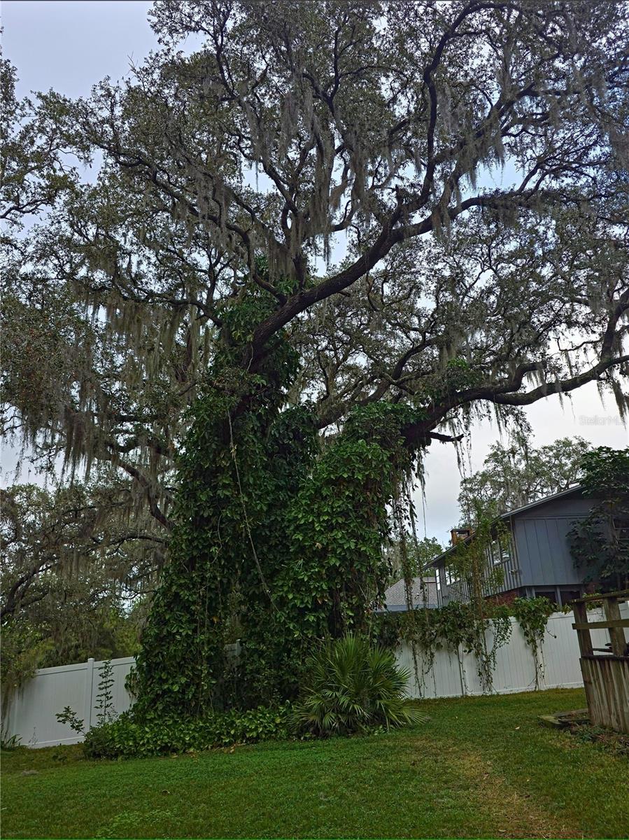34041 HIGHLAND RD, LEESBURG, FL — photo 61