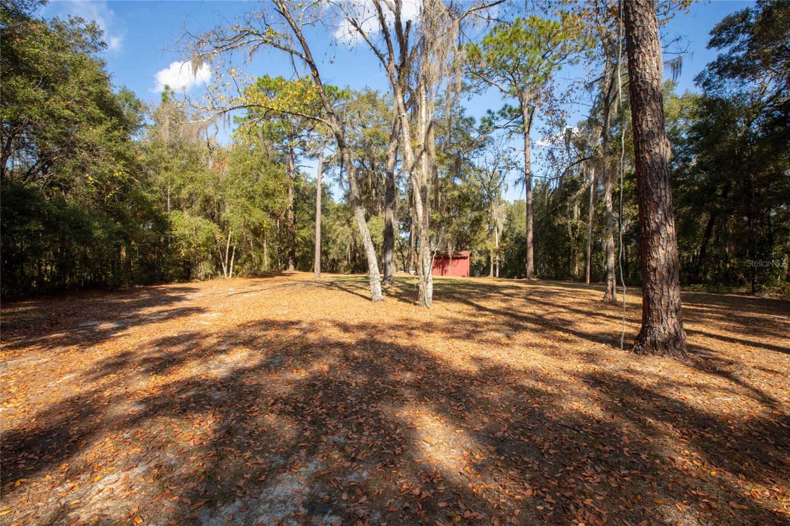 730+732 STATE ROAD 26, MELROSE, FL — photo 2