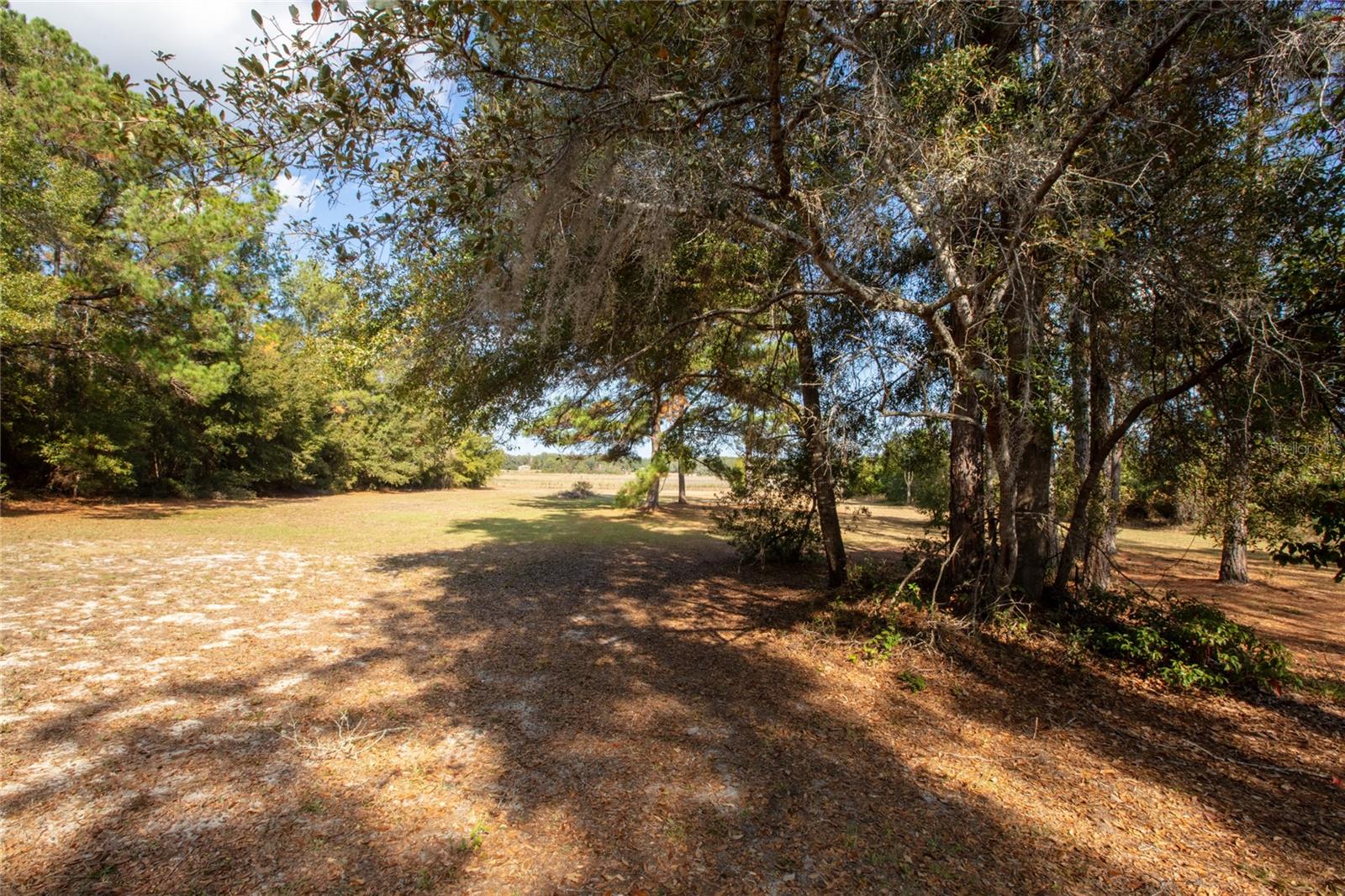 730+732 STATE ROAD 26, MELROSE, FL — photo 19
