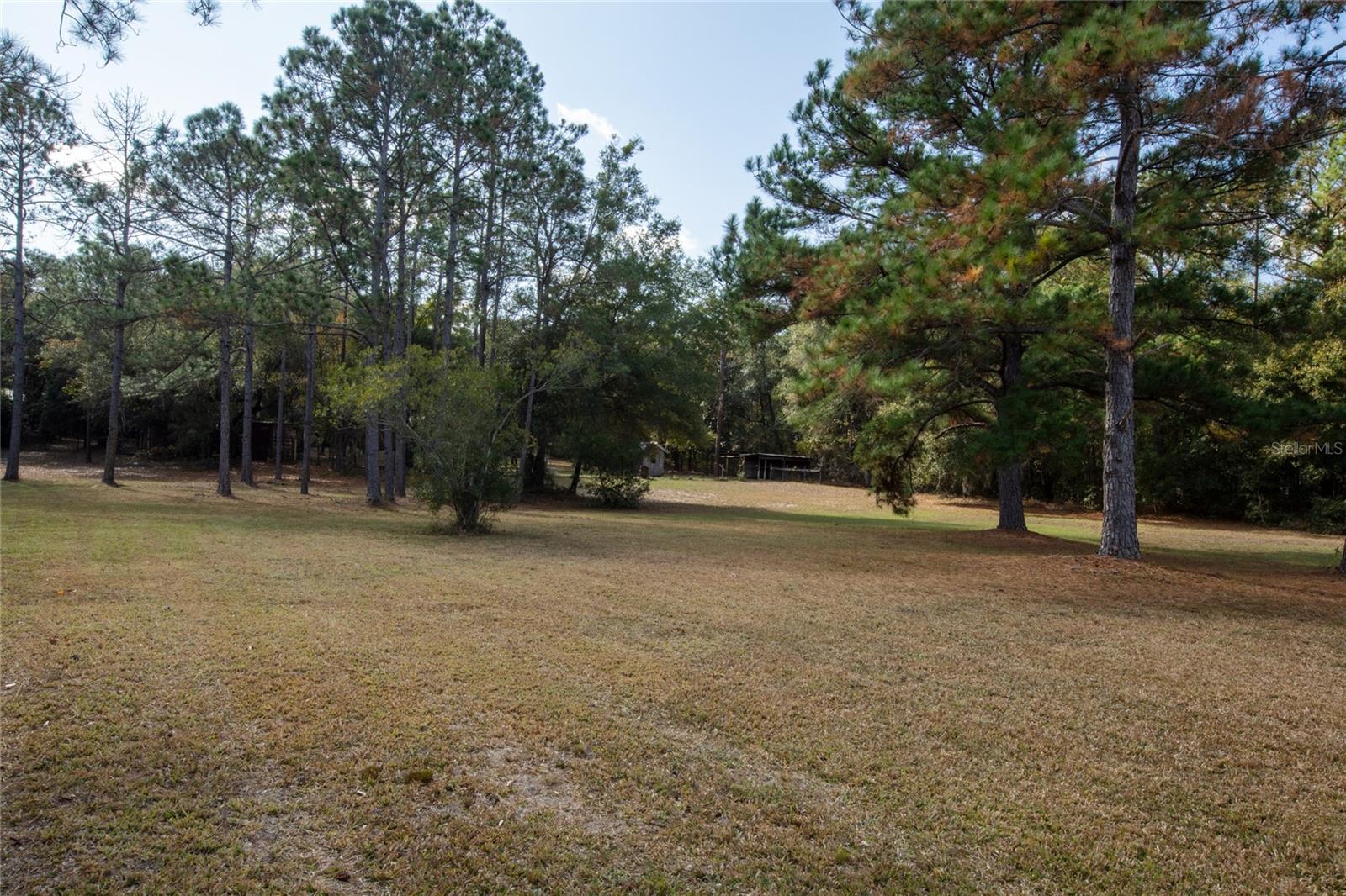 730+732 STATE ROAD 26, MELROSE, FL — photo 22