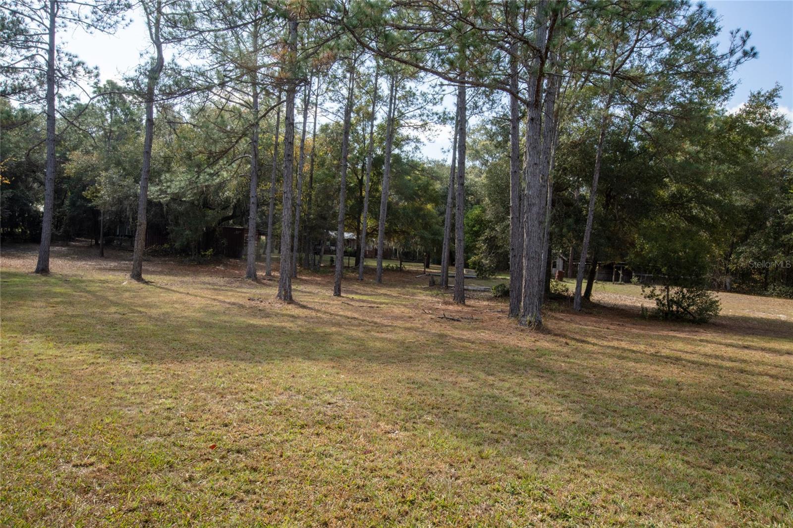 730+732 STATE ROAD 26, MELROSE, FL — photo 23