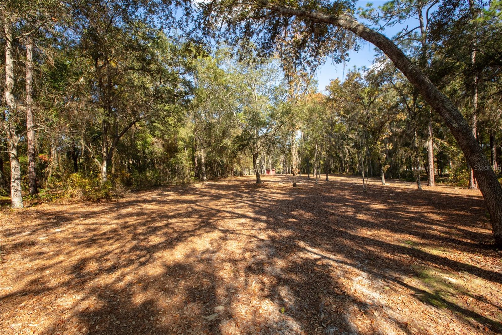 730+732 STATE ROAD 26, MELROSE, FL — photo 80