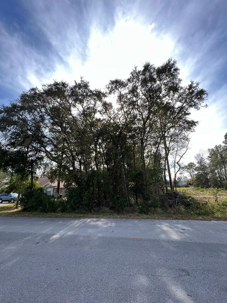 BAHIA TERRACE, OCALA, FL