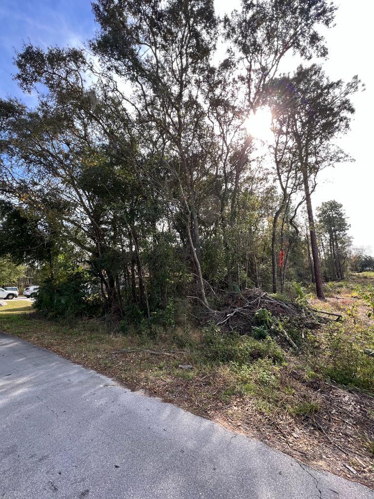 BAHIA TERRACE, OCALA, FL — photo 2