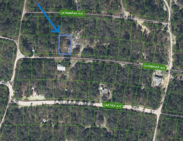 314 GLENBRIER AVE, LAKE PLACID, FL — photo 2
