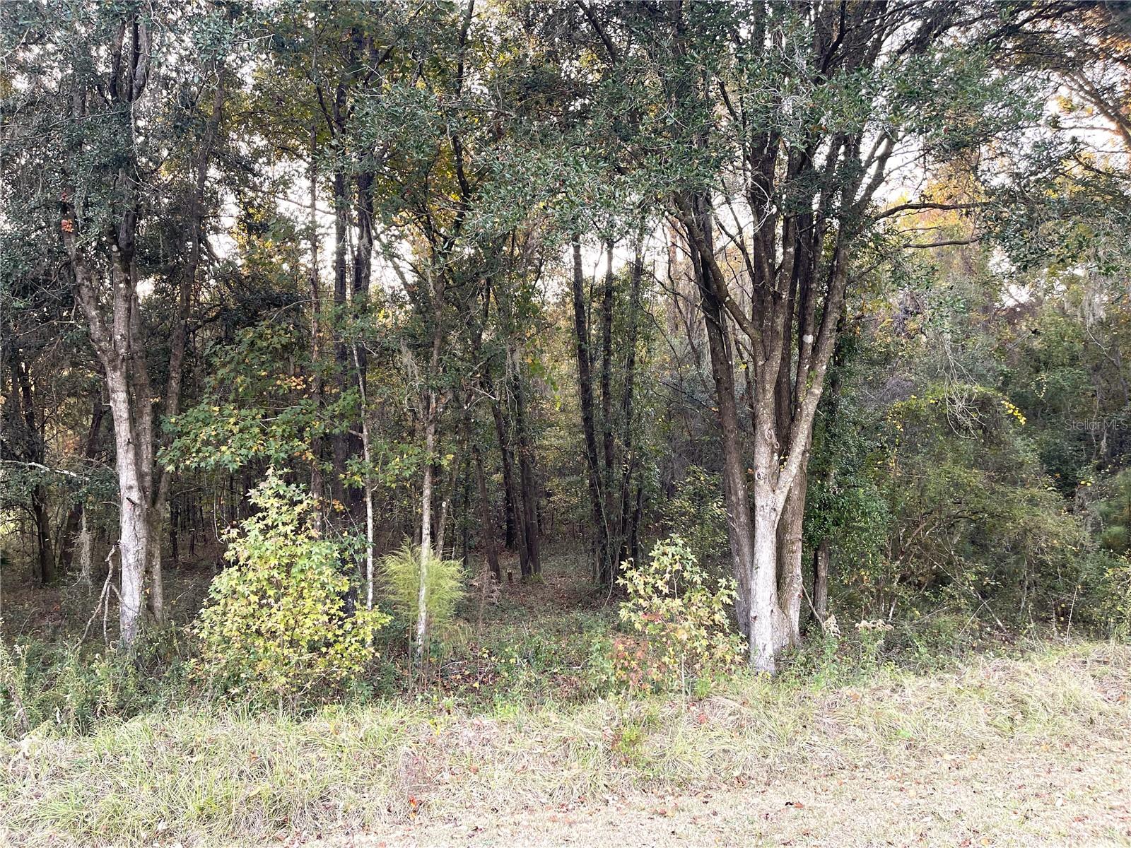 NW 145TH AVE LOT 25, WILLISTON, FL