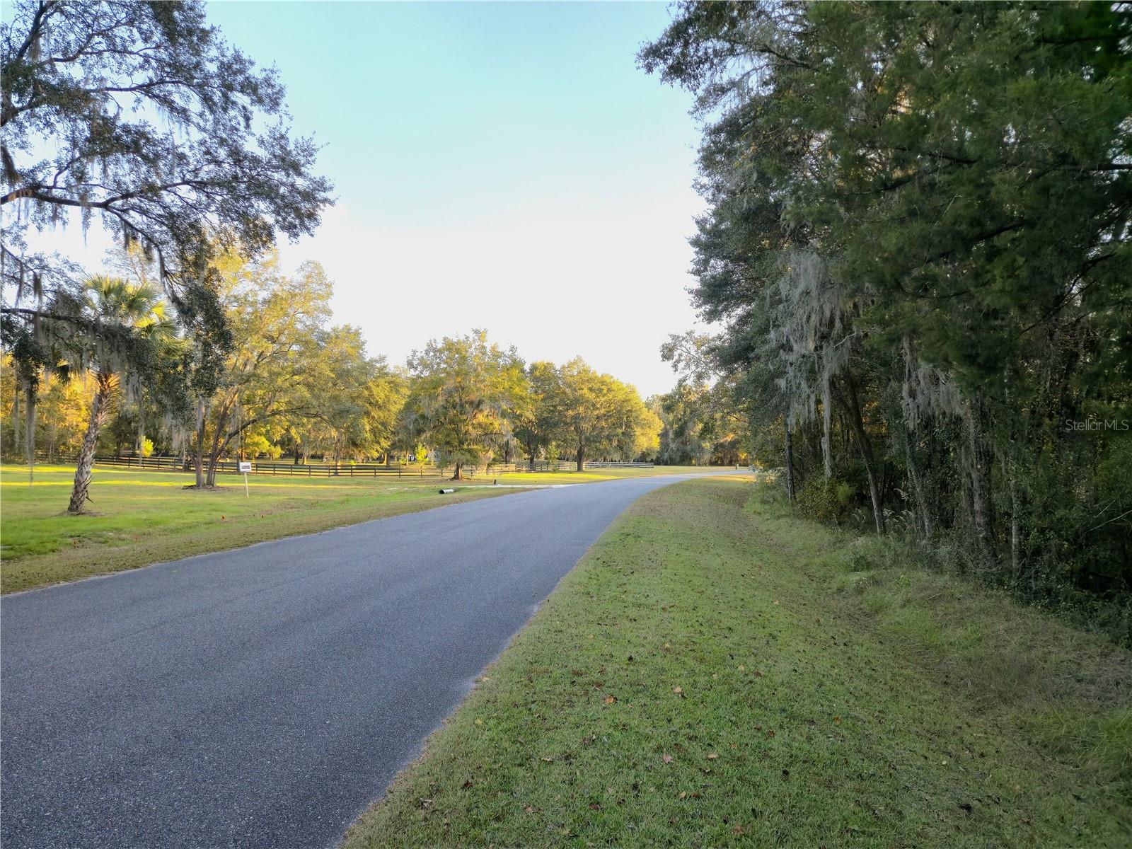 NW 145TH AVE LOT 25, WILLISTON, FL — photo 6