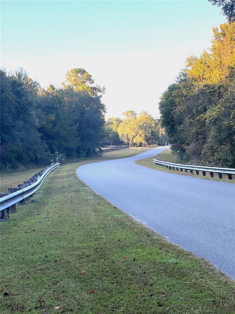 NW 145TH AVE LOT 25, WILLISTON, FL — photo 7