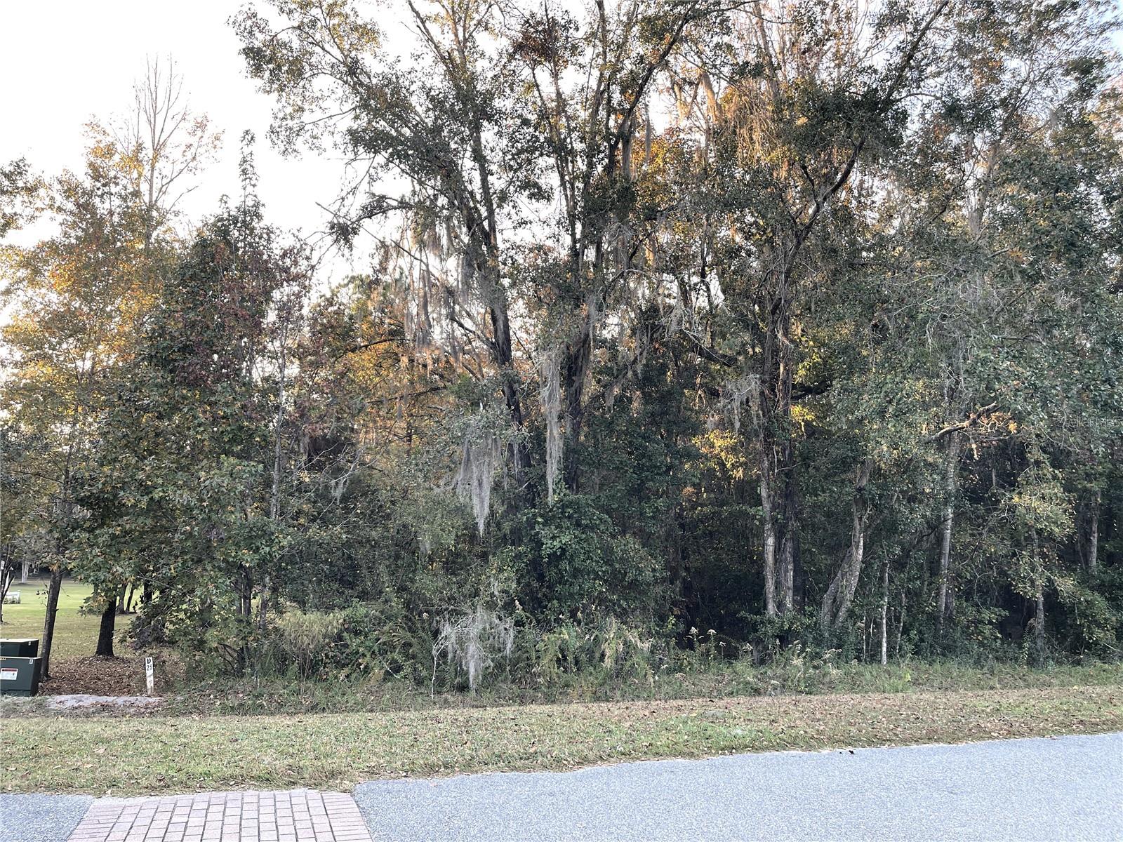 NW 145TH AVE LOT 25, WILLISTON, FL — photo 8