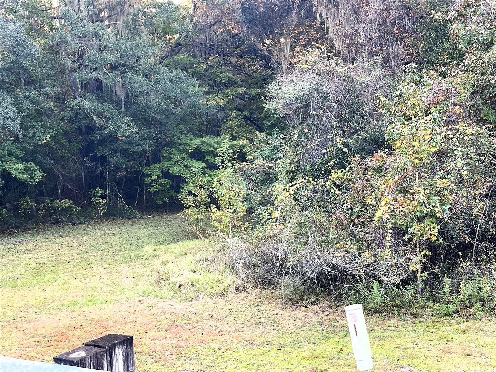 NW 145TH AVE LOT 25, WILLISTON, FL — photo 9