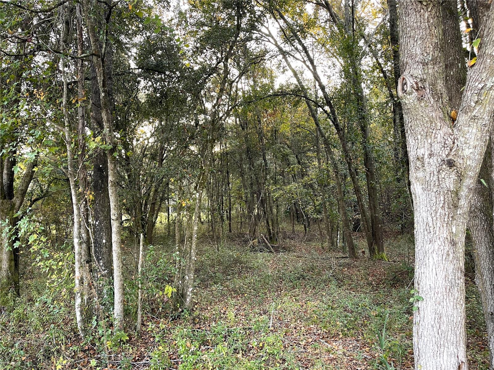 NW 145TH AVE LOT 25, WILLISTON, FL — photo 11