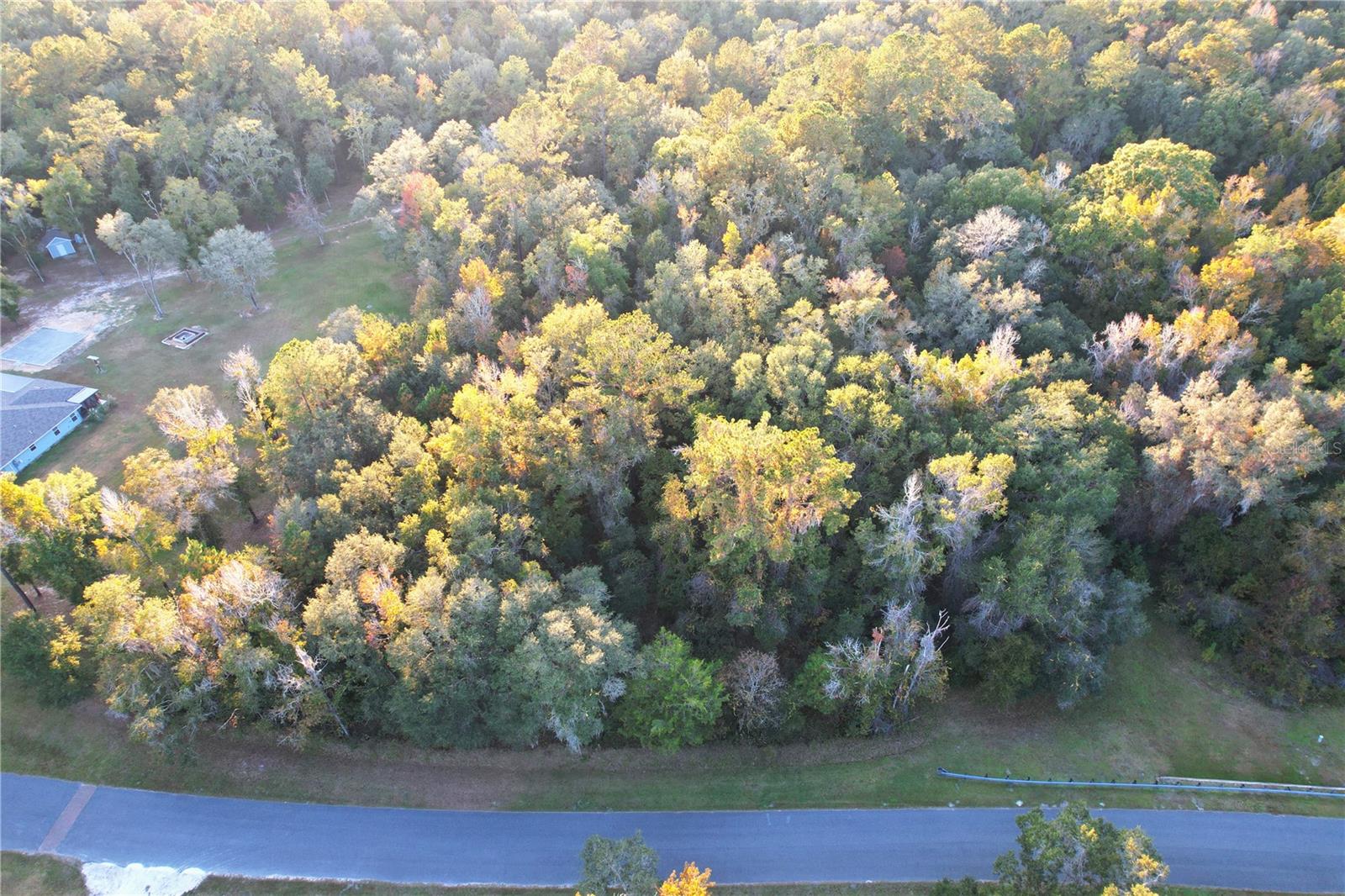 NW 145TH AVE LOT 25, WILLISTON, FL — photo 13