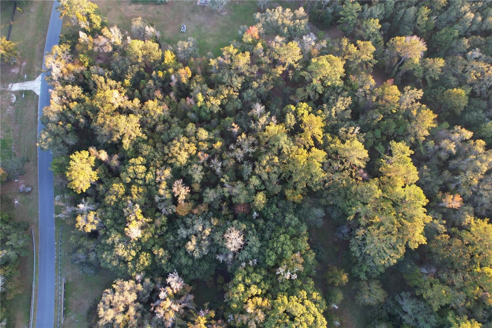 NW 145TH AVE LOT 25, WILLISTON, FL — photo 15