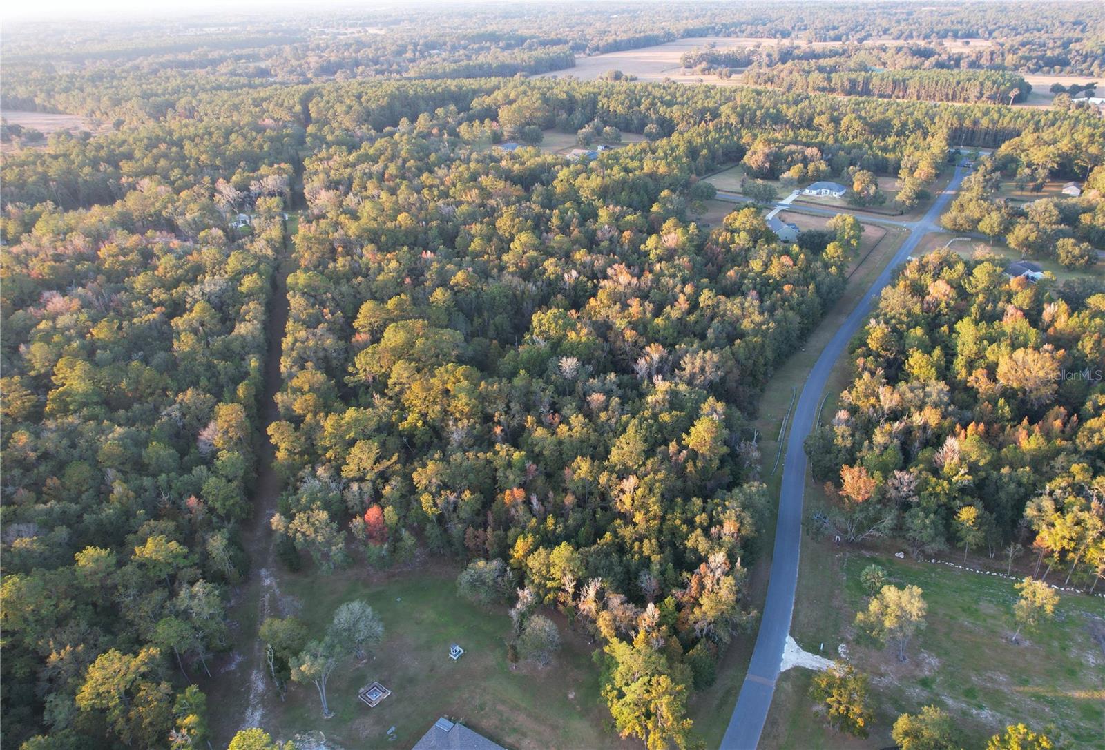 NW 145TH AVE LOT 25, WILLISTON, FL — photo 16