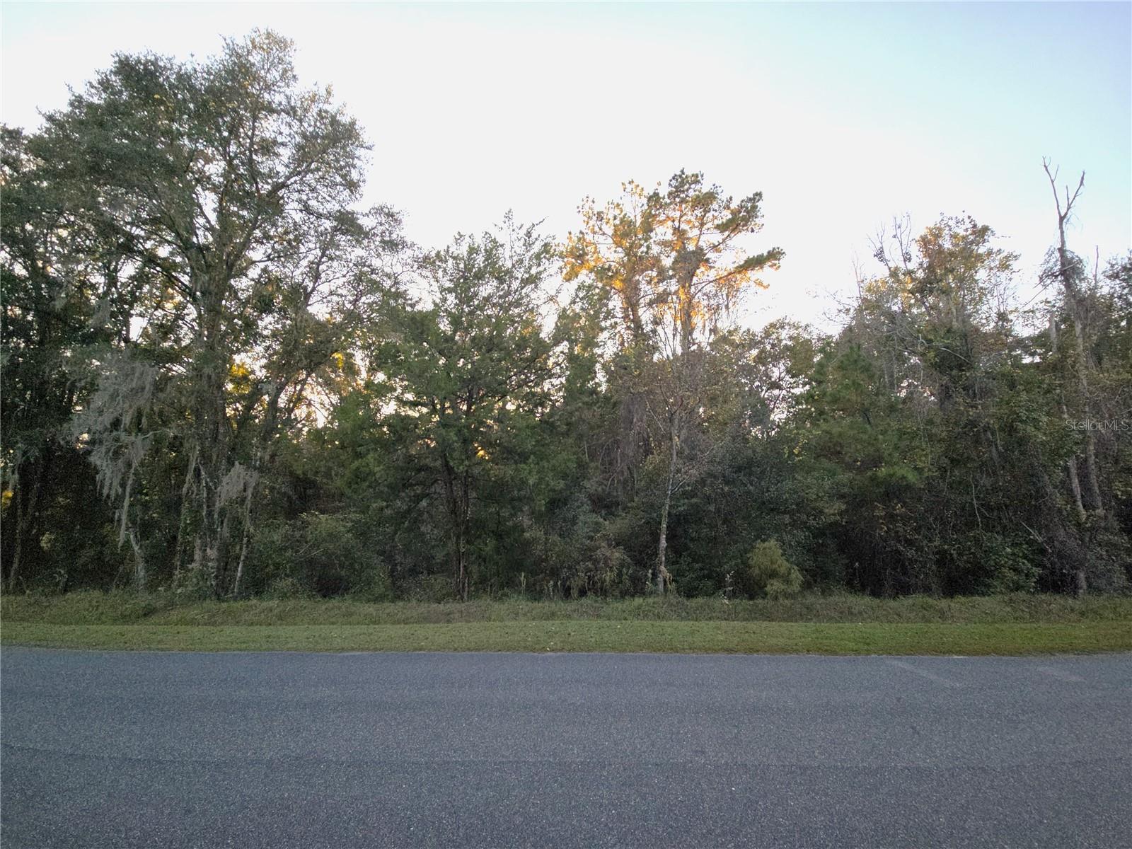NW 145TH AVE LOT 25, WILLISTON, FL — photo 18