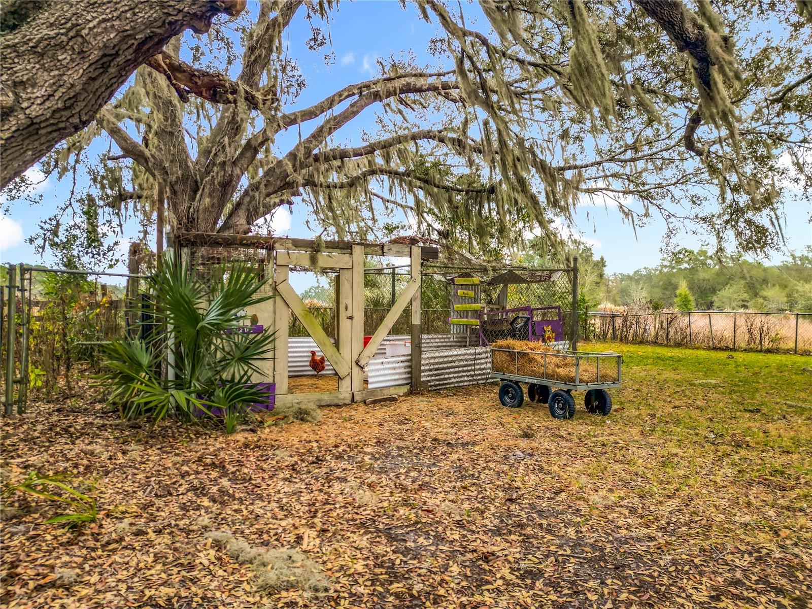 12521 SW HIGHWAY 484, DUNNELLON, FL — photo 26