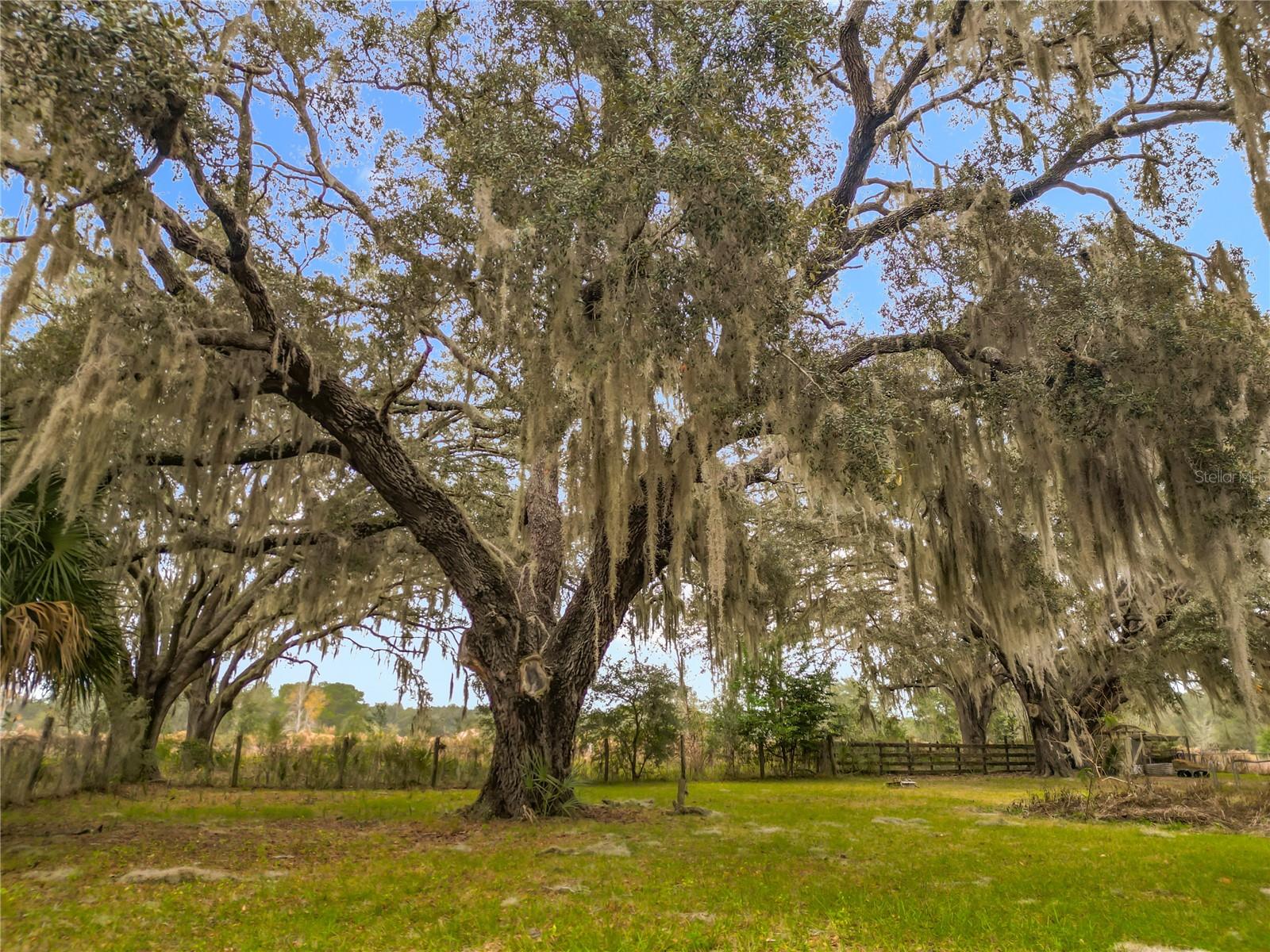 12521 SW HIGHWAY 484, DUNNELLON, FL — photo 28