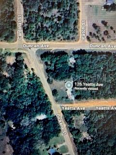 126 YEATTS AVE, INTERLACHEN, FL