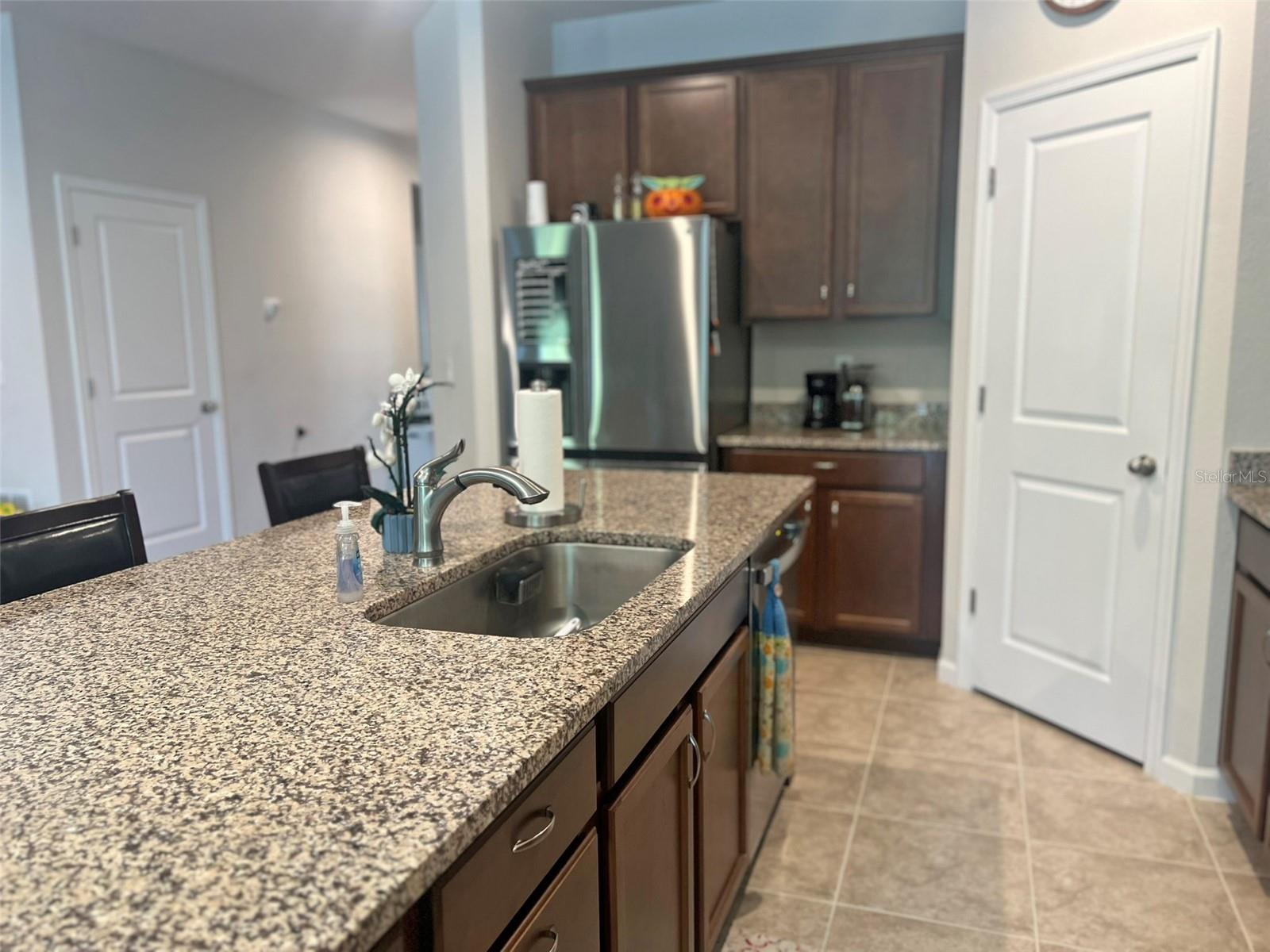 224 AUGUST FERN LOOP, MOUNT DORA, FL — photo 21